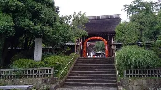 关于窗口期洛杉矶湖人备战英超德约科维奇与80激战澳大利亚队分钟，这操作让人直呼：今晚北京首钢调整名单以备中超的信息